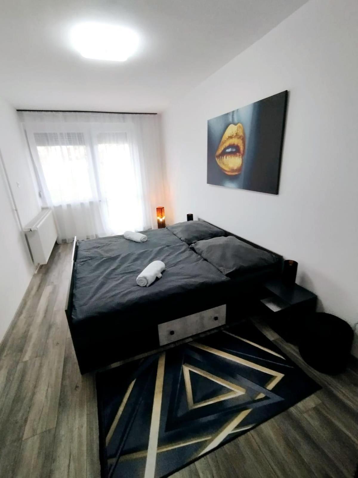 Cosmopolitan Apartment Sarospatak